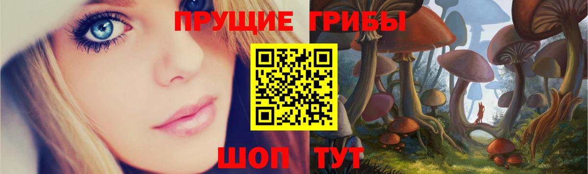 Галлюциногенные грибы ЛСД  Вход с VPN  Тамбов 